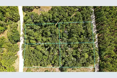 Nw 50th Terrace, Bell, FL 32619 - Photo 2