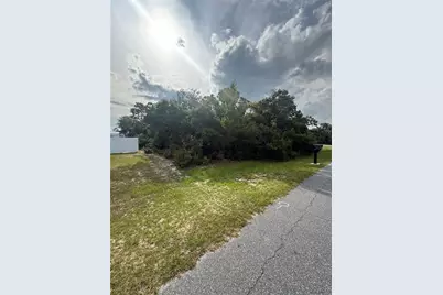Tbd SW 161st Loop, Ocala, FL 34473 - Photo 2