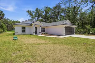 3 Sequoia Dr Trce, Ocklawaha, FL 32179 - Photo 40