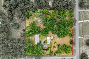 40847 County Rd 439, Umatilla, FL 32784 - Photo 6
