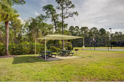 3405 Heirloom Rose Place, Oviedo, FL 32766 - Photo 82