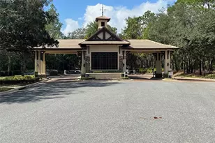 25846 Feather Ridge Ln, Sorrento, FL 32776 - Photo 44