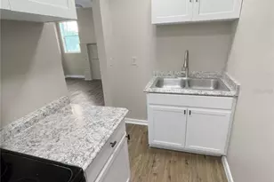 321 W Ianthe St, Tavares, FL 32778 - Photo 4