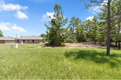 17 Malauka Run Drive, Ocklawaha, FL 32179 - Photo 38