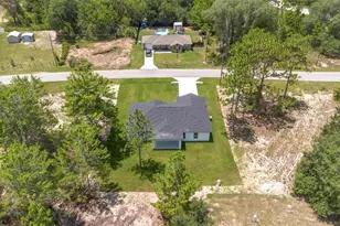 17 Malauka Run Dr, Ocklawaha, FL 32179 - Photo 36