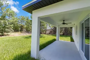 17 Malauka Run Dr, Ocklawaha, FL 32179 - Photo 30