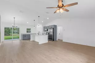 17 Malauka Run Dr, Ocklawaha, FL 32179 - Photo 4