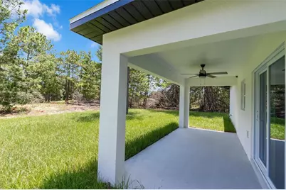 17 Malauka Run Drive, Ocklawaha, FL 32179 - Photo 32