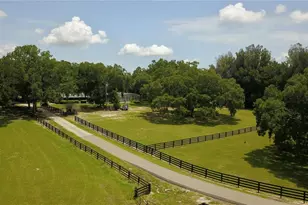16945 W Phil C Peters Rd, Winter Garden, FL 34787 - Photo 42