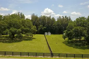 16945 W Phil C Peters Rd, Winter Garden, FL 34787 - Photo 64