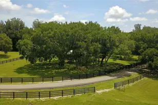 16945 W Phil C Peters Rd, Winter Garden, FL 34787 - Photo 46
