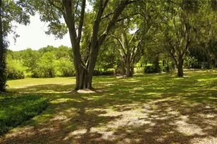 16945 W Phil C Peters Rd, Winter Garden, FL 34787 - Photo 72