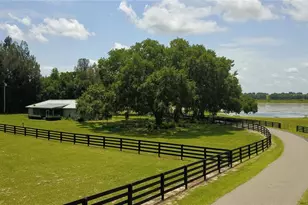 16945 W Phil C Peters Rd, Winter Garden, FL 34787 - Photo 50
