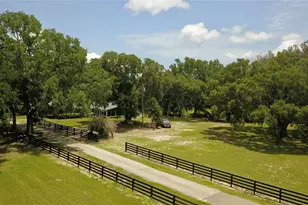 16945 W Phil C Peters Rd, Winter Garden, FL 34787 - Photo 54