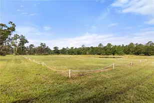 32839 Webbs Way, Sorrento, FL 32776 - Photo 48