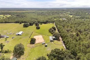 32839 Webbs Way, Sorrento, FL 32776 - Photo 42