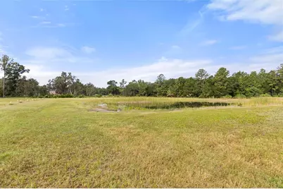 32839 Webbs Way, Sorrento, FL 32776 - Photo 46