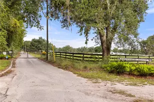 32839 Webbs Way, Sorrento, FL 32776 - Photo 46