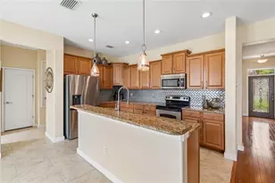 13344 Graham Yarden, Riverview, FL 33579 - Photo 10