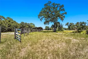 5650 Churchill Downs Rd, Sarasota, FL 34241 - Photo 84