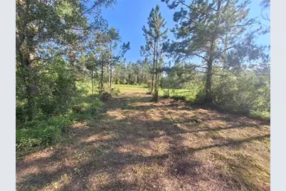 0 Unassigned Location Re, Perry, FL 32348 - Photo 2