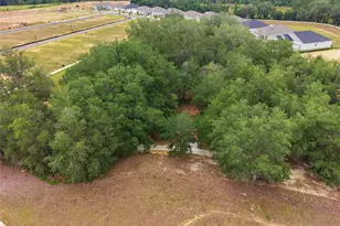 440 Free Range Dr, Clermont, FL 34715 - Photo 46
