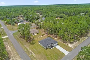 7295 N Glenridge Cir, Citrus Springs, FL 34434 - Photo 22