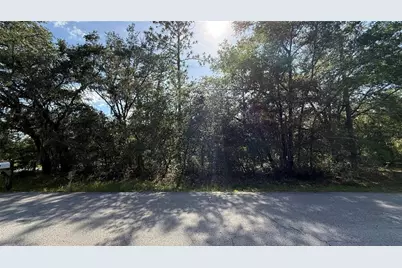 Undetermined, Dunnellon, FL 34431 - Photo 2
