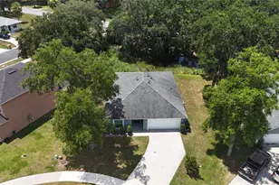 1537 Baywood Village Ct, Mount Dora, FL 32757 - Photo 34
