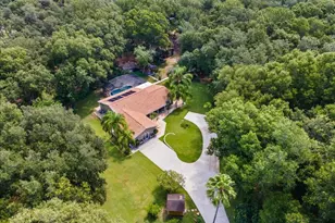 2619 W Ponkan Rd, Apopka, FL 32712 - Photo 42