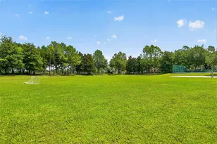 12580 Cragside Ln, Windermere, FL 34786 - Photo 56