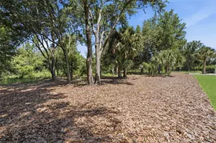 15800 Pendio Dr, Bella Collina, FL 34756 - Photo 78