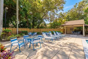 2917 Fig Ct, Palm Harbor, FL 34684 - Photo 38