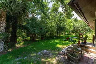 2917 Fig Ct, Palm Harbor, FL 34684 - Photo 34
