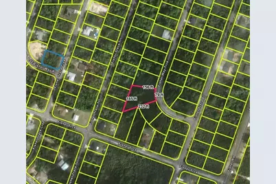 Fisher Way Track, Ocklawaha, FL 32179 - Photo 2