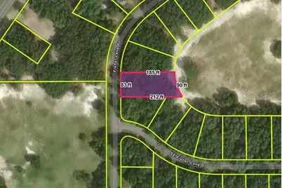 Fisher Lane Place, Ocklawaha, FL 32179 - Photo 1