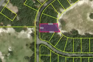 Fisher Ln Pl, Ocklawaha, FL 32179 - Photo 1
