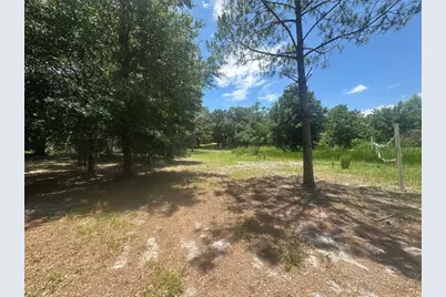 Lazy Acres Lane, Longwood, FL 32750 - Photo 4