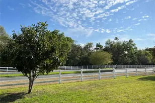 365 James Cir, Lake Alfred, FL 33850 - Photo 30