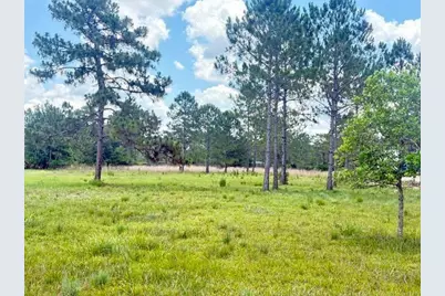 Caesar Avenue, Orlando, FL 32833 - Photo 1