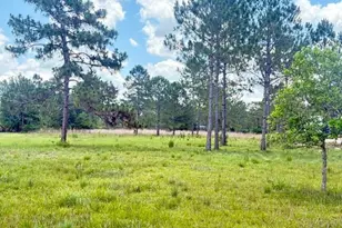 Caesar Ave, Orlando, FL 32833 - Photo 1