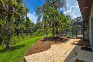 6053 Sabal Creek Blvd, Port Orange, FL 32128 - Photo 60