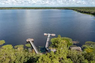 3300 Sagebrush St, Harmony, FL 34773 - Photo 34