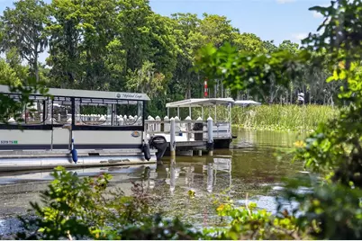 3284 Gorse Court, Palm Harbor, FL 34684 - Photo 48