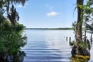 3284 Gorse Ct, Palm Harbor, FL 34684 - Photo 46
