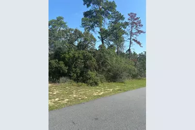 16698 SW 21st Circle, Ocala, FL 34473 - Photo 2