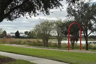 14741 Snowy Egret Street, Winter Garden, FL 34787 - Photo 30