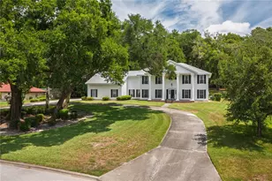 7219 Chesterhill Cir, Mount Dora, FL 32757 - Photo 6
