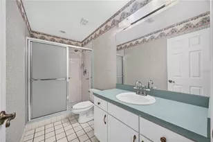 7219 Chesterhill Cir, Mount Dora, FL 32757 - Photo 36