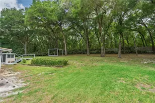 7219 Chesterhill Cir, Mount Dora, FL 32757 - Photo 72